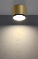 Lampa sufitowa złoto czarna TUBA TENS 8,8x7,5cm