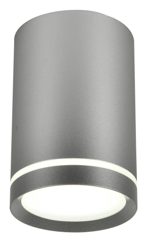 Lampa sufitowa srebrna TUBA TENS 6,8x10cm