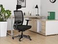 Fotel ergonomiczny z naturalnej skóry z nylonową podstawą, wybór kolorów AGER