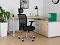 Regulowany fotel ergonomiczny tapicerowany siatką i membraną, wybór kolorów EXAL