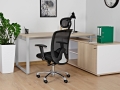 Regulowany fotel ergonomiczny tapicerowany siatką i membraną, wybór kolorów EXAL