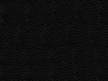 at20.png