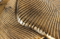 Stylowy stolik do salonu z metalu w kolorze złotym 55 cm, LAND GOLD